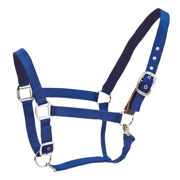 Centaur Web Breakaway Halter