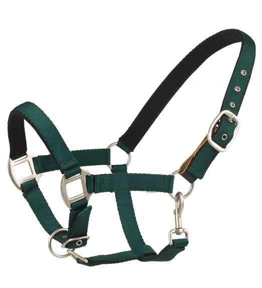 Centaur Web Breakaway Halter