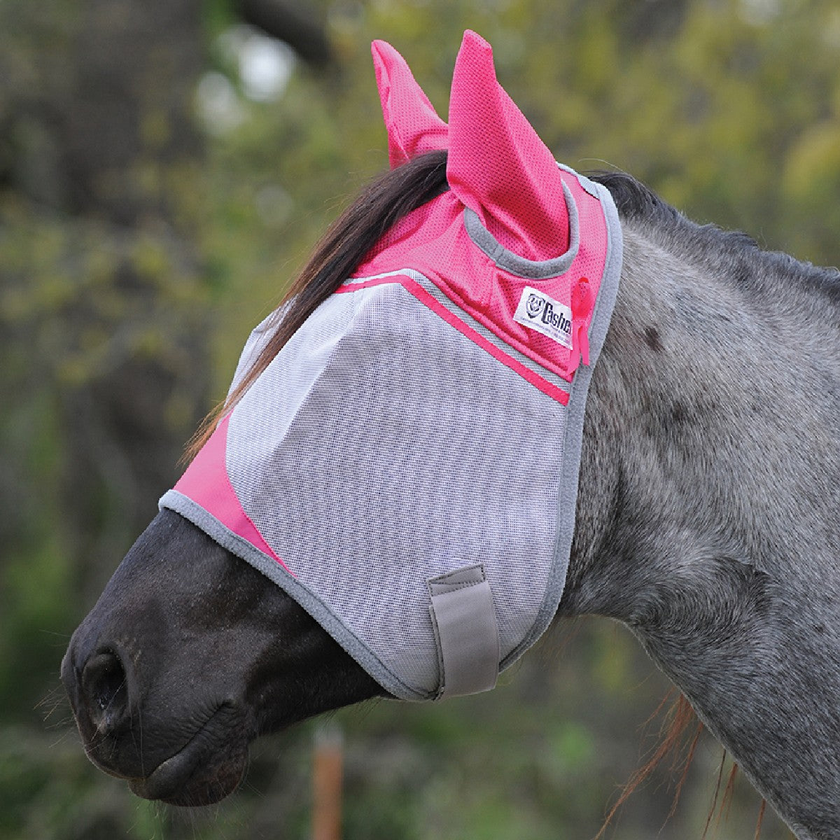 Cashel Crusadeer Fly Mask w/ Ears