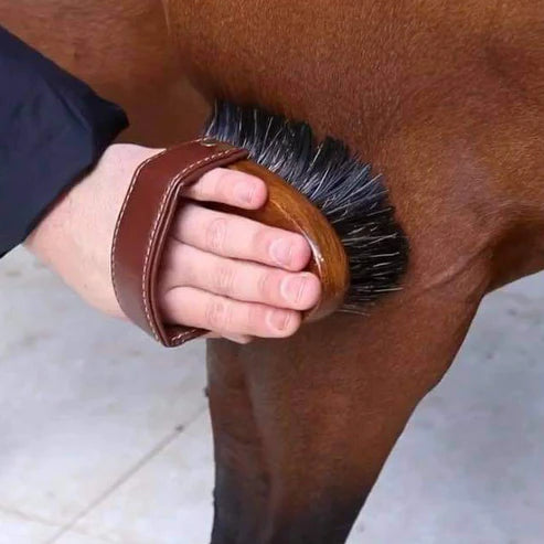 Dandy brush