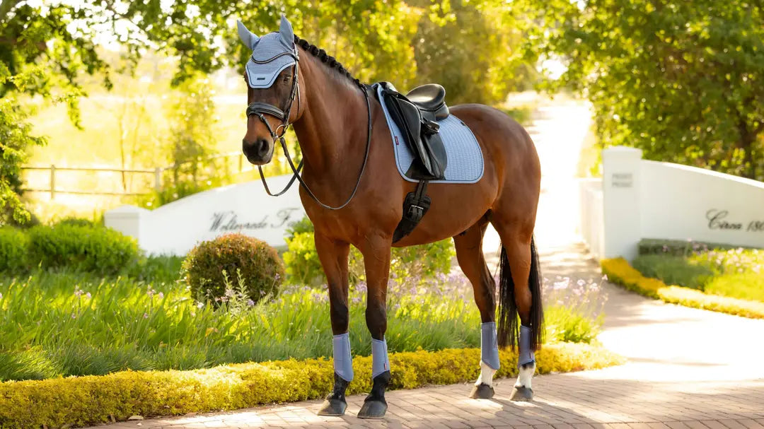 Essence Dressage Square