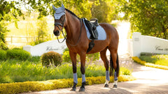 Essence Dressage Square