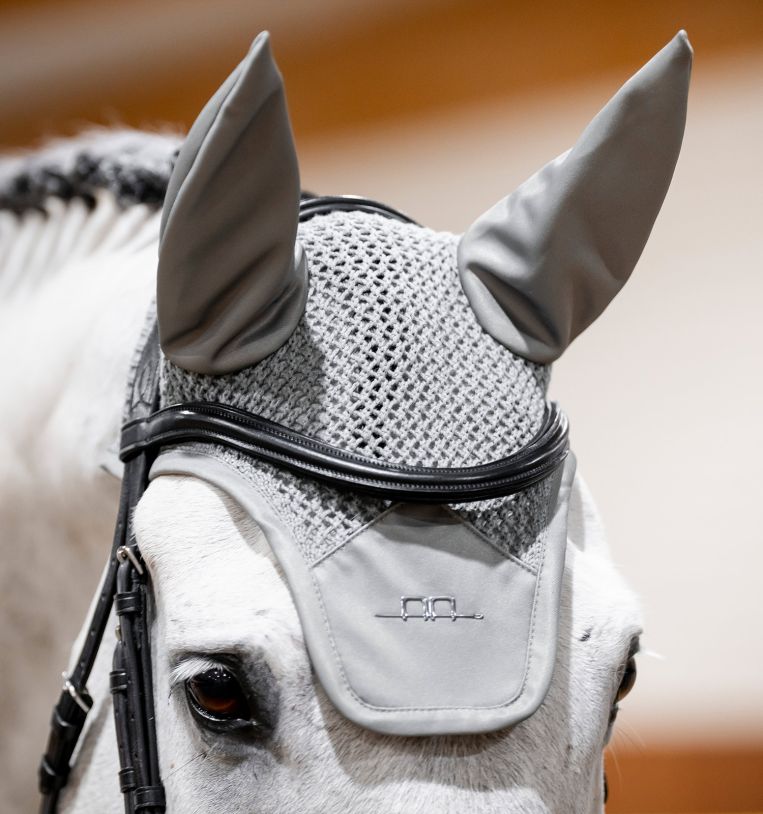 Ear Net