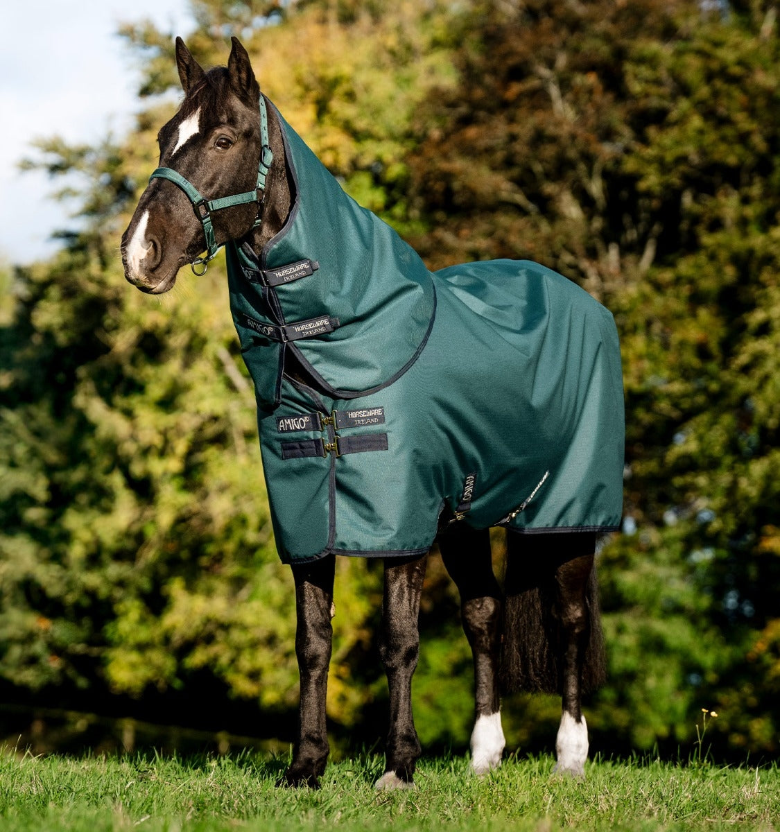 Amigo Ripstop 900D Turnout Hood 150g
