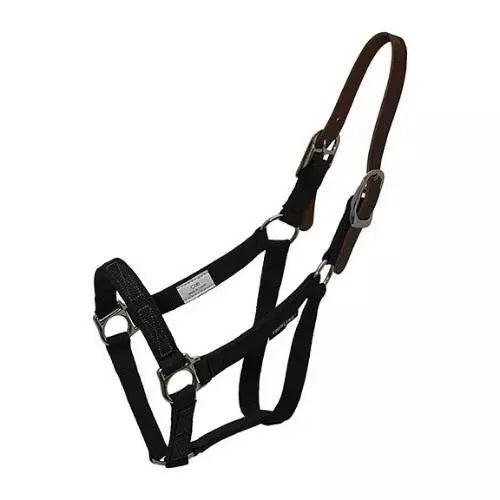 Turnout Halter for Grazing Muzzle