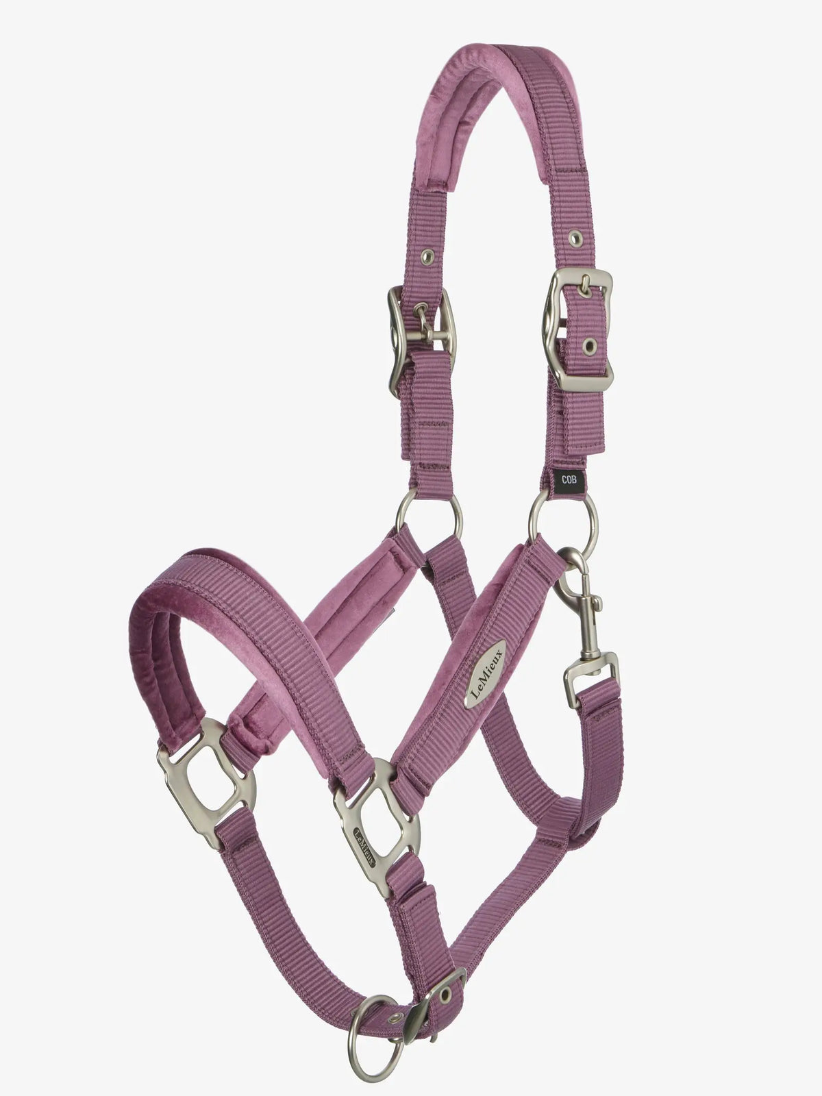 Headcollar SP26