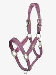 Headcollar SP26