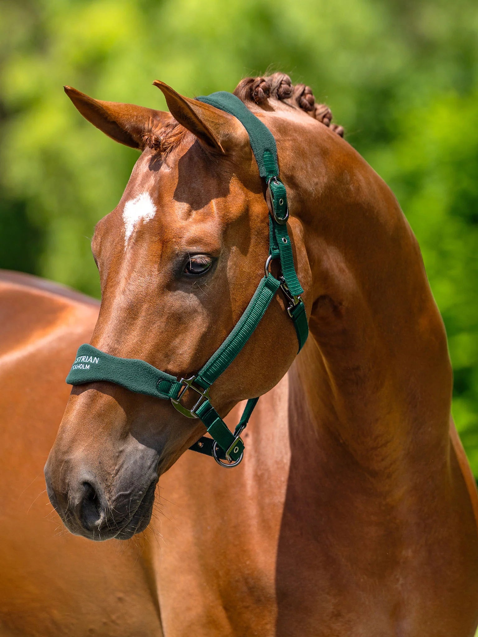 Anatomic Fleece Halter