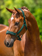 Anatomic Fleece Halter