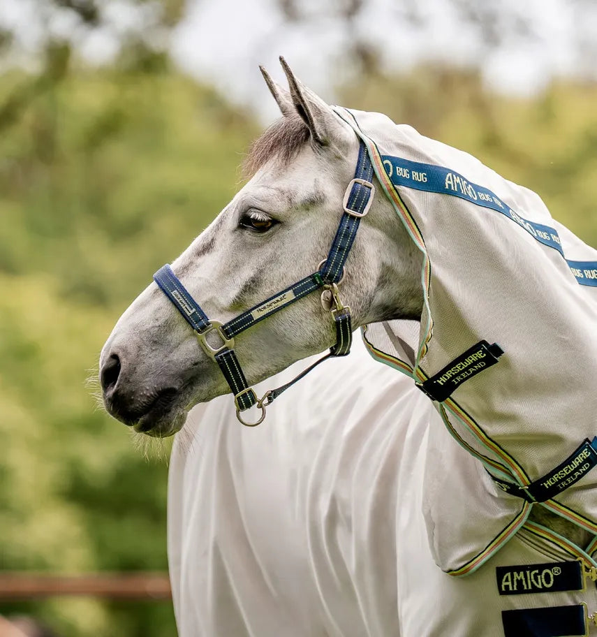 FieldSafe Headcollar