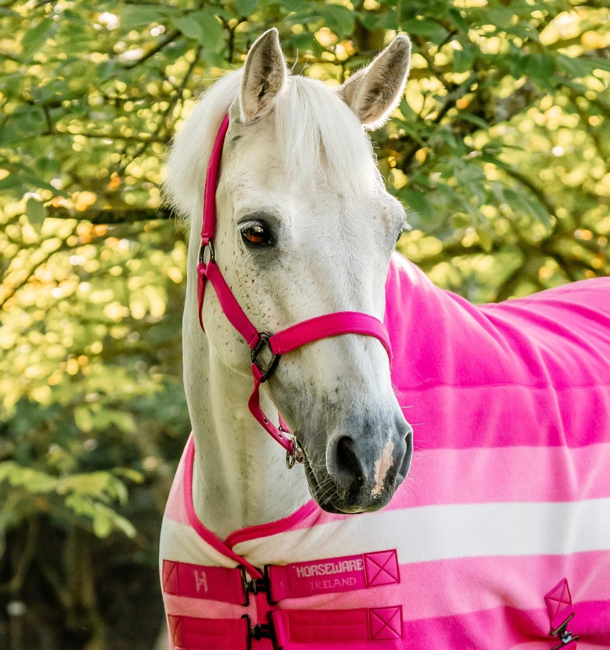 Horseware Newmarket Halter & Lead