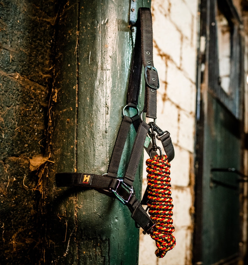 Horseware Newmarket Halter & Lead