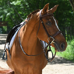 Antares Origin Hunter Bridle - Brown