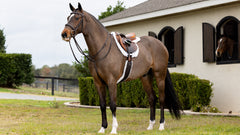 Merino+ Hunter Saddle Pad