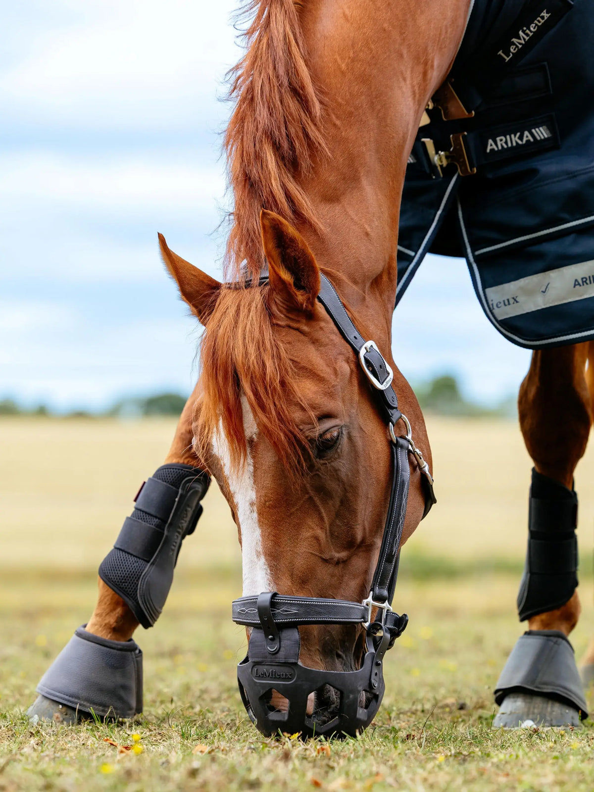 Noma Grazing Muzzle