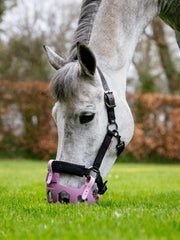 Noma Grazing Muzzle