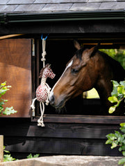 Lemieux Horse Toys