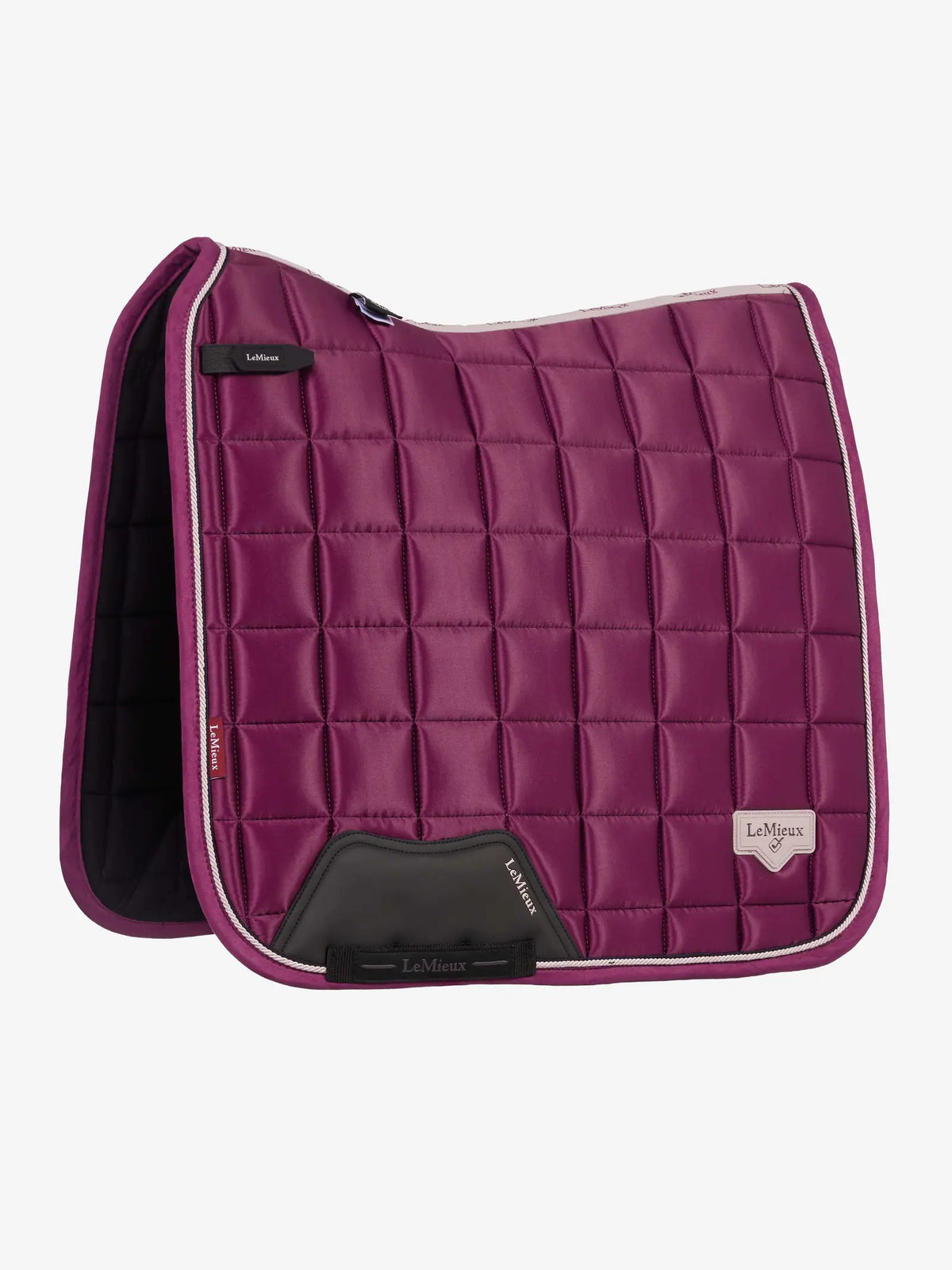 FALL 2026 Loire Dressage Square