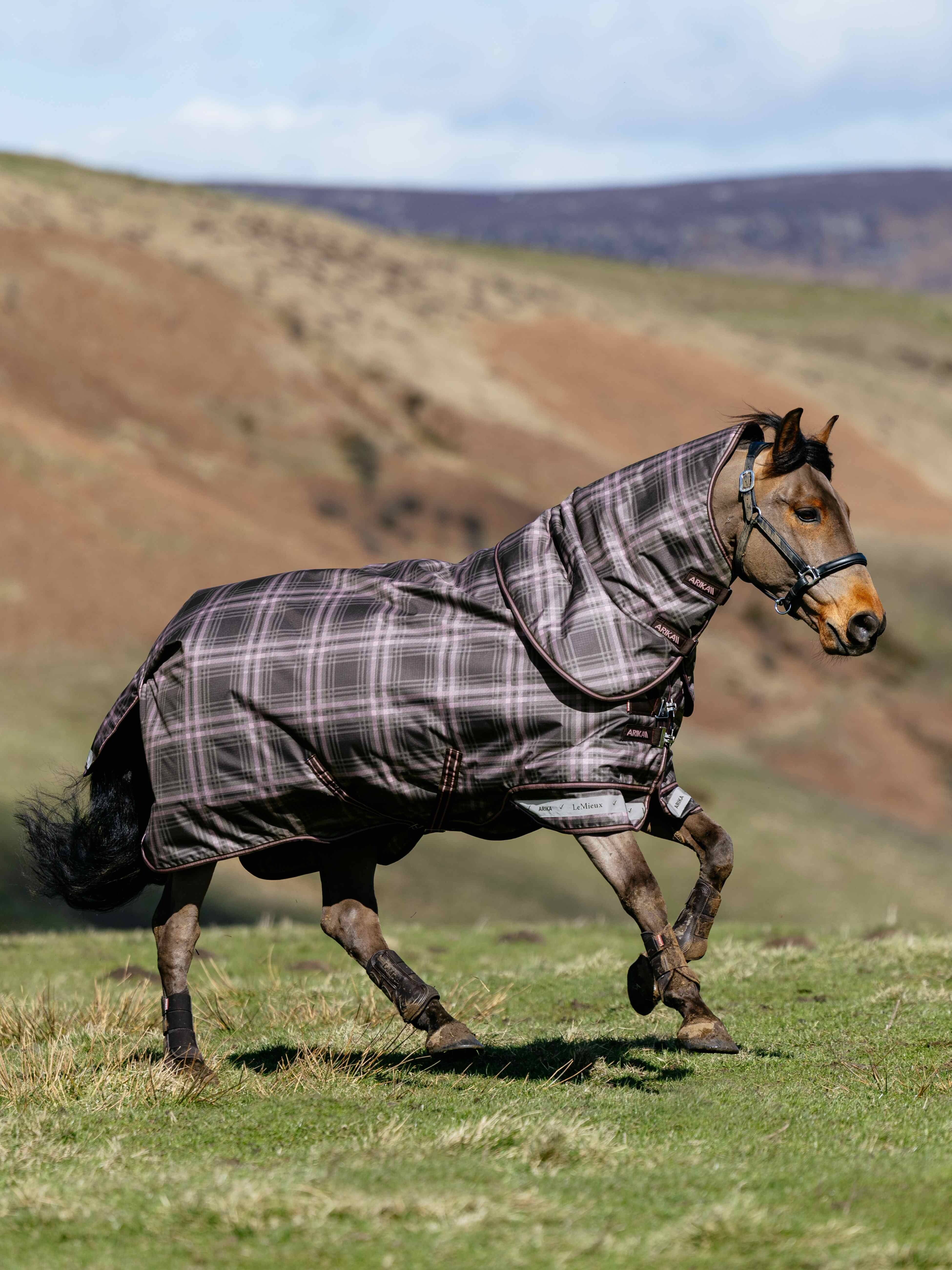 Arika Check Turnout Rug AW26 100g In Cocoa