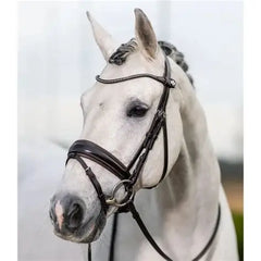 Lemieux Classic Dressage Bridle