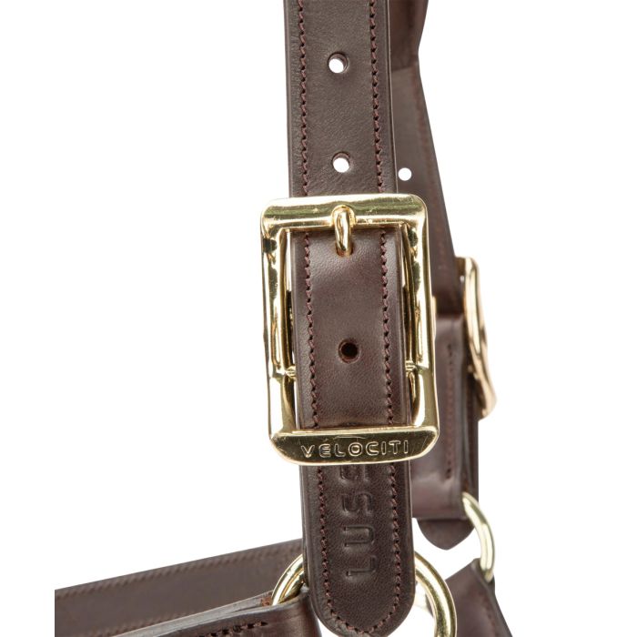 Velociti Soria Control Leather Headcollar