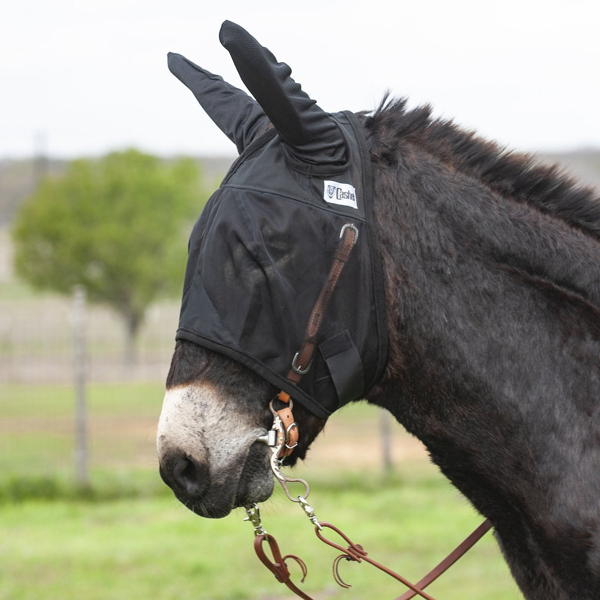 Cashel Quiet Ride MULE w/ Long Ears