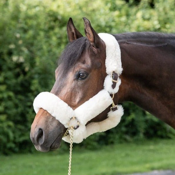 Natural Sheepskin Shipping Halter