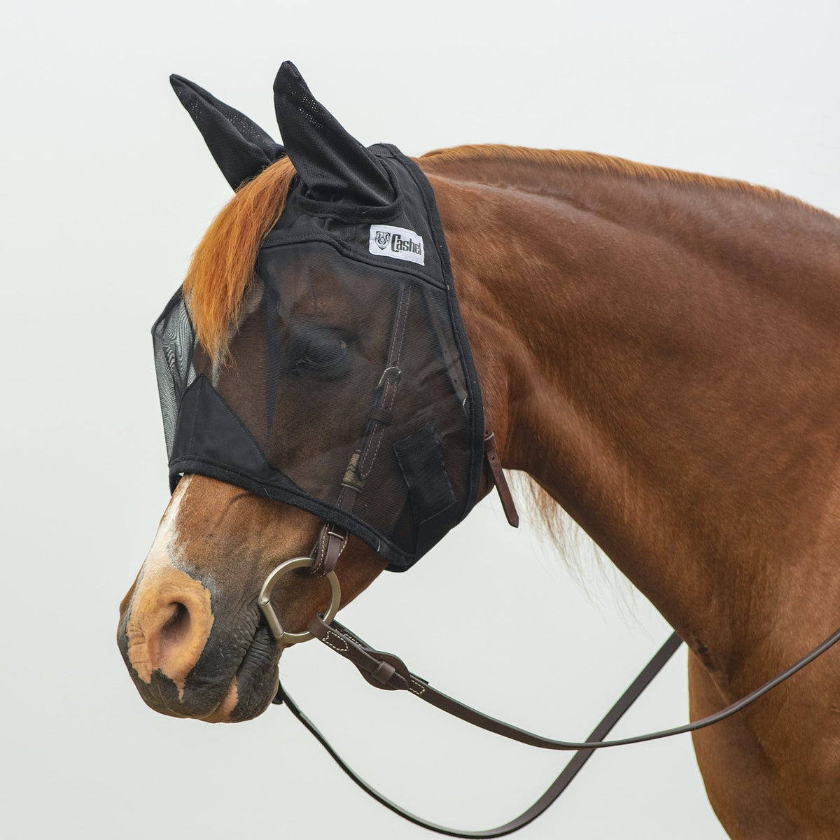 Cashel Quiet Ride w/ Ears