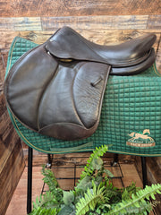 17" Voltaire Palm Beach Close Contact