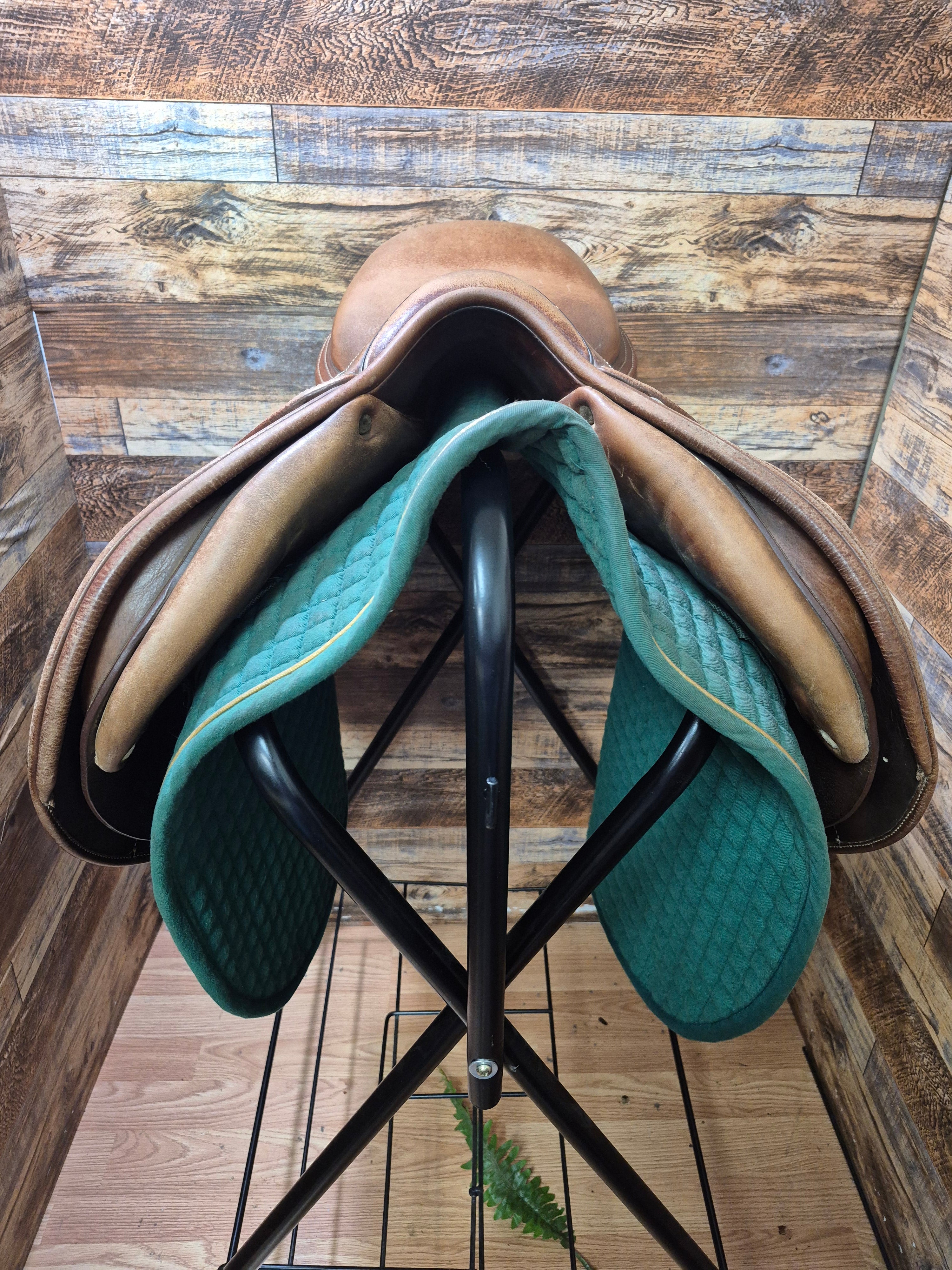 16.5" Antares CC Saddle 1E 16.5 AO M10