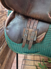 16.5" Antares CC Saddle 1E 16.5 AO M10