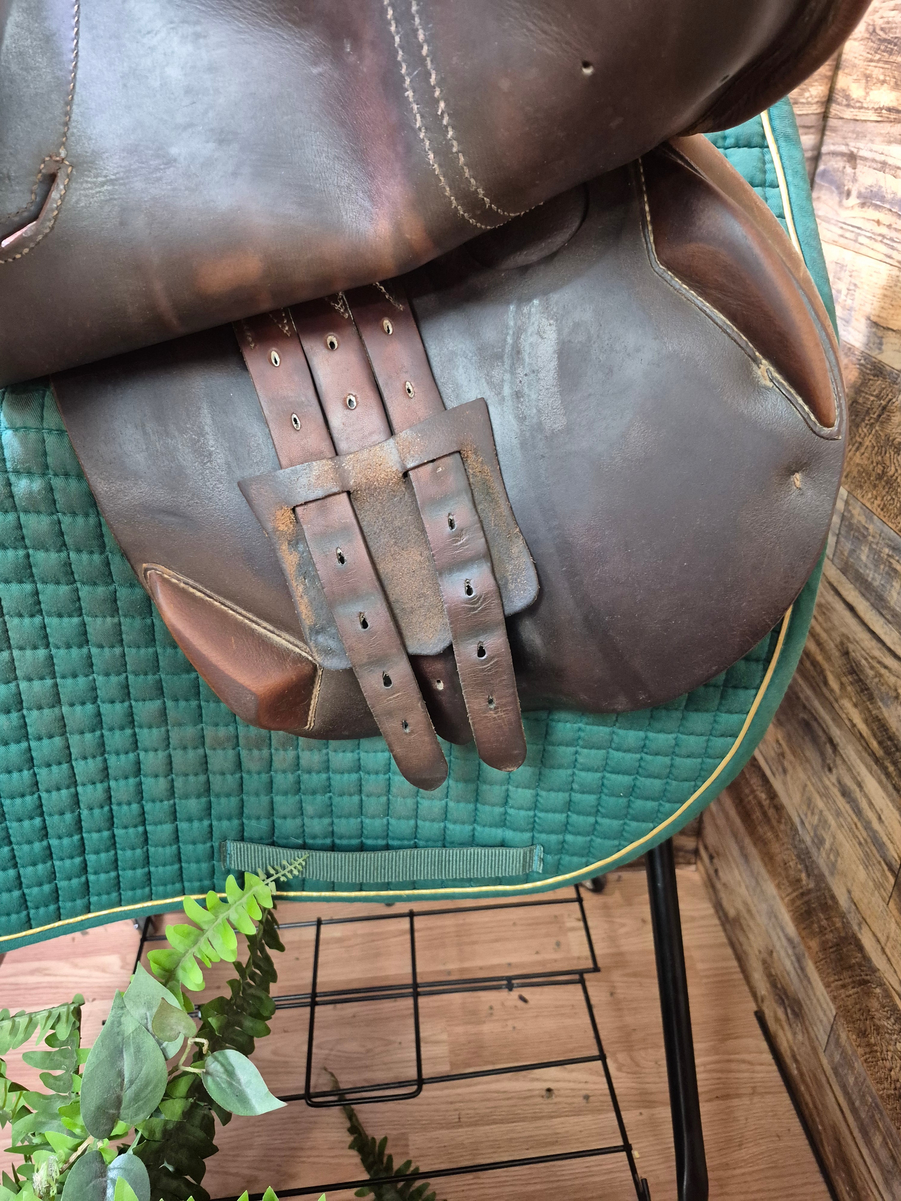 16.5" Antares CC Saddle 1E 16.5 AO M10