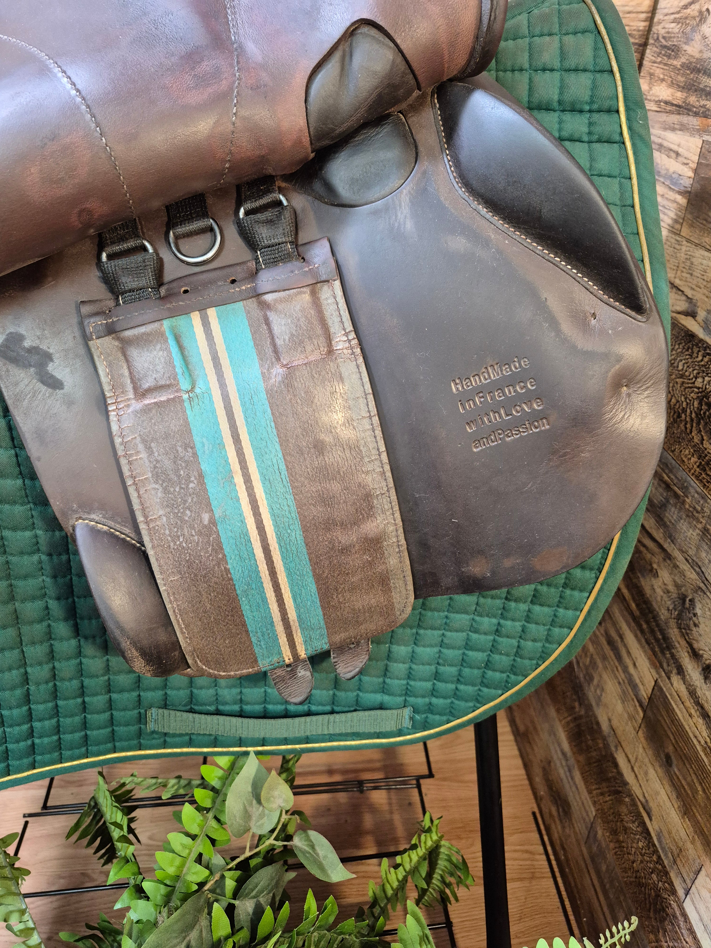 17" Voltaire Palm Beach Close Contact
