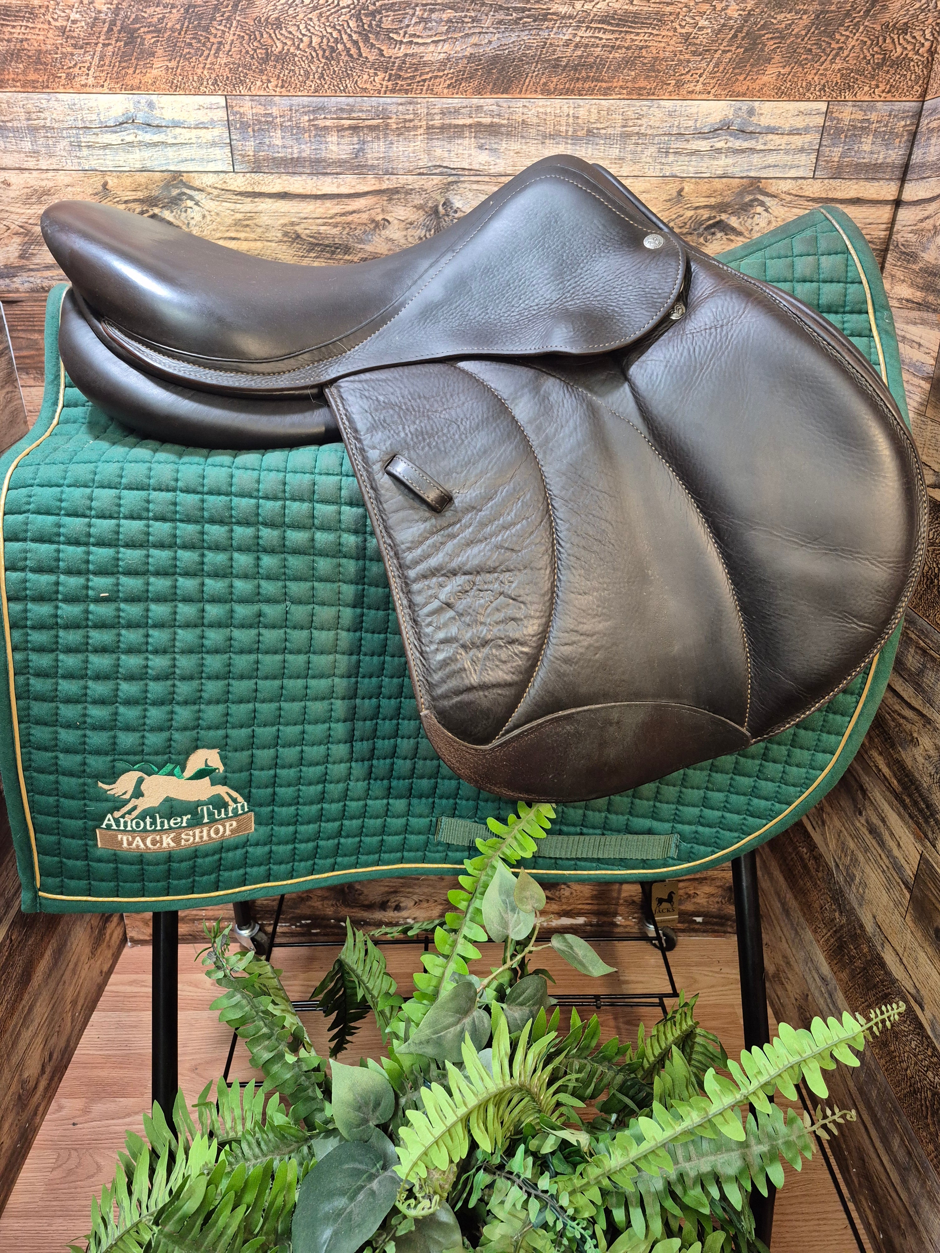 17" Voltaire Palm Beach Close Contact