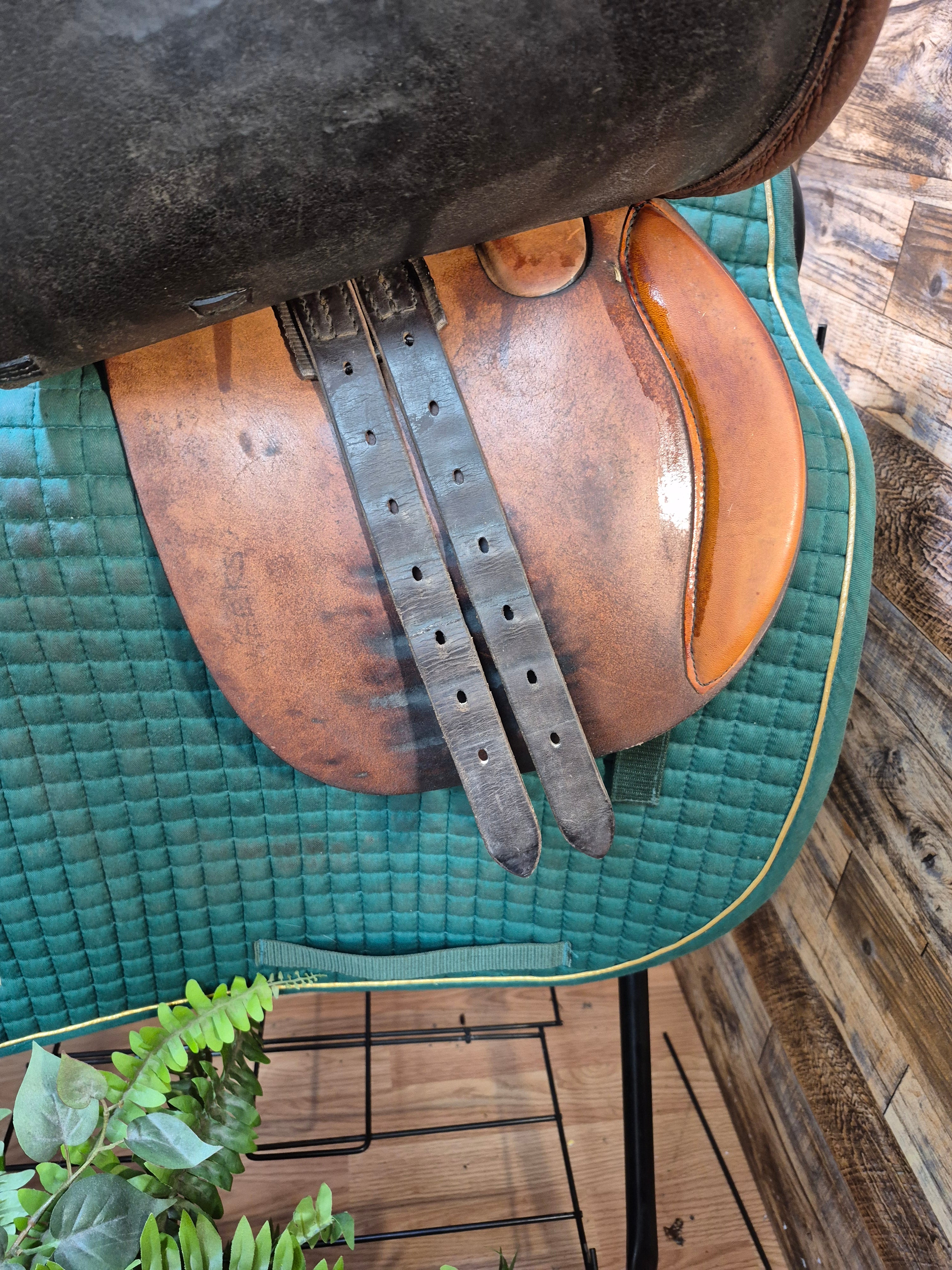 15" Prix des Nations Crosby CC Saddle