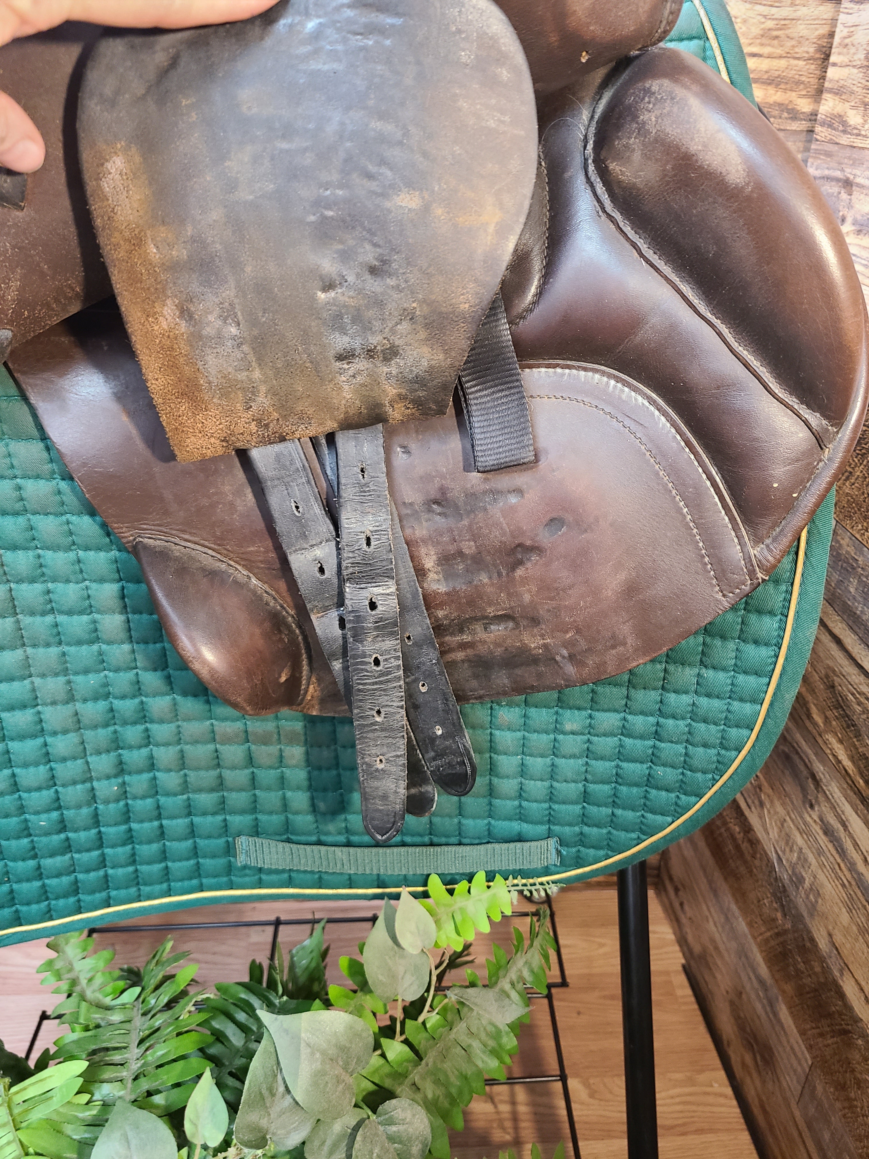 17.5" Albion Legend K2 Jump Saddle