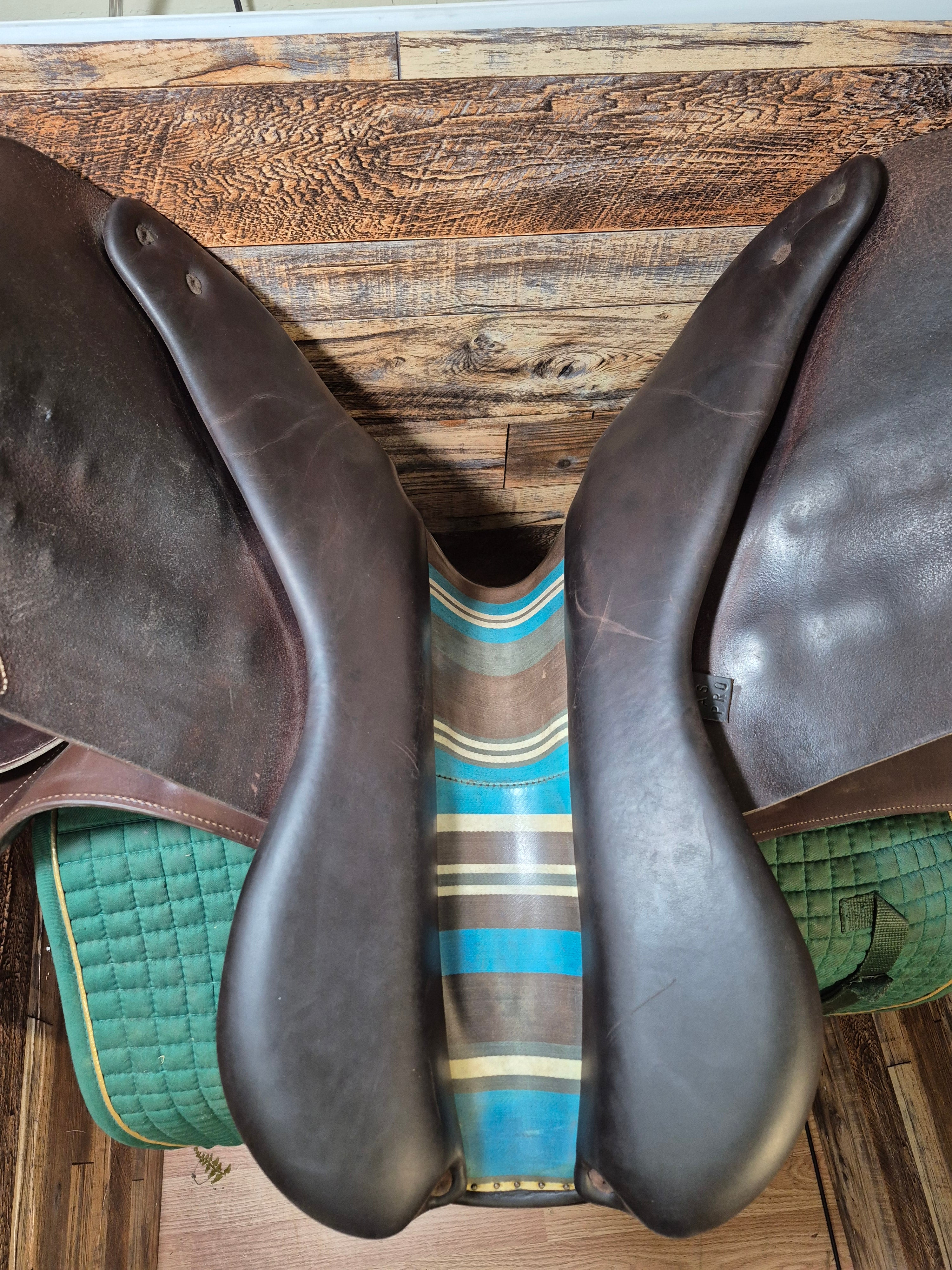 17" Voltaire Palm Beach Close Contact