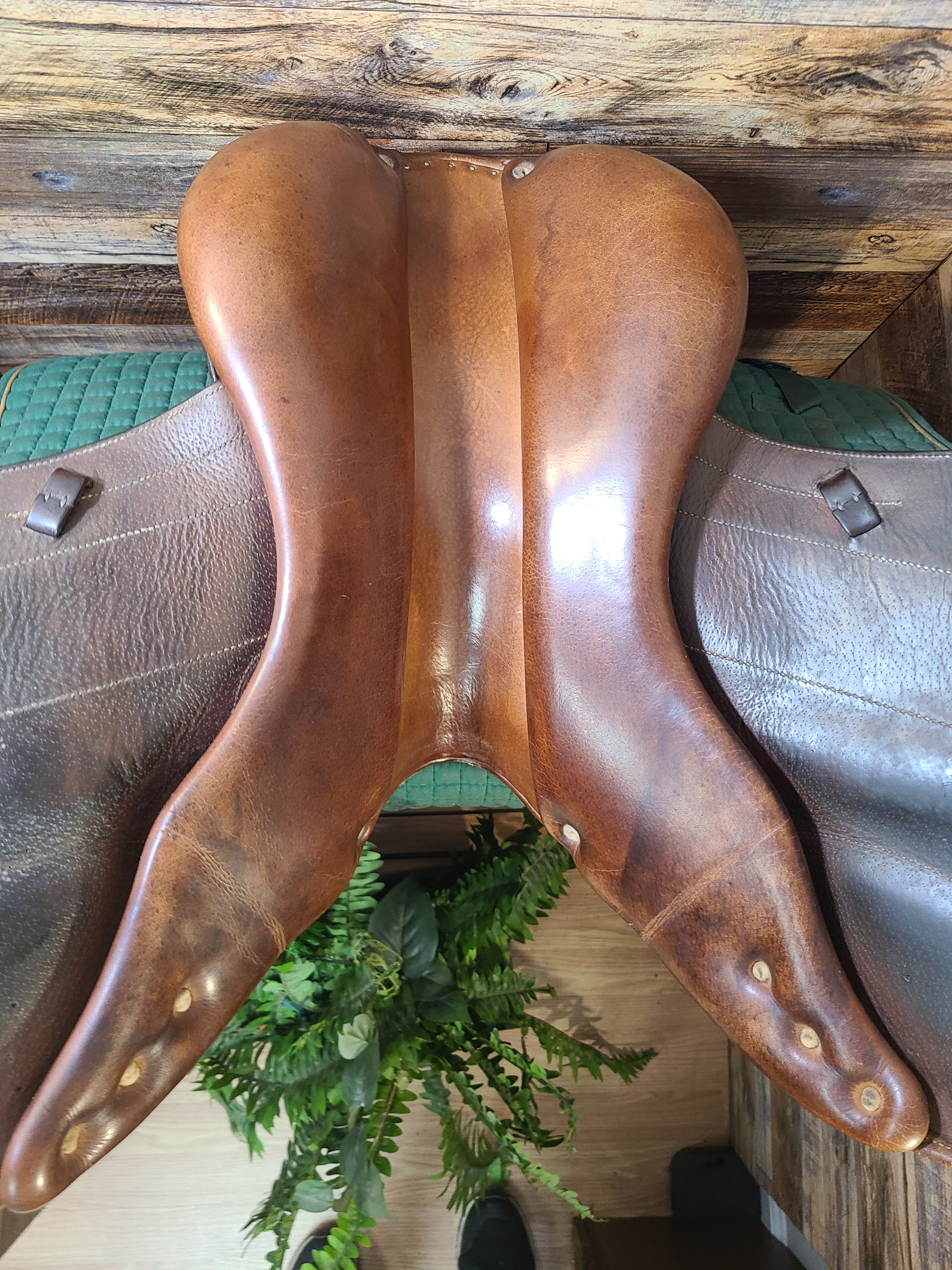 17"  Antares Monoflap Jump Saddle