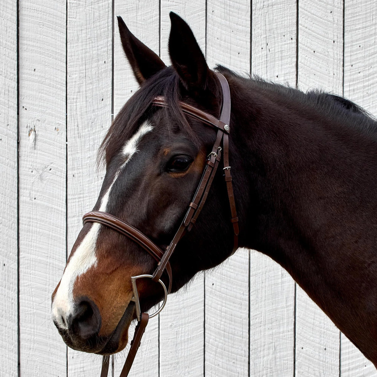 HDR Pro Mono Crown Bridle w/ Padded Noseband and Reins