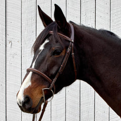 HDR Pro Mono Crown Bridle w/ Padded Noseband and Reins