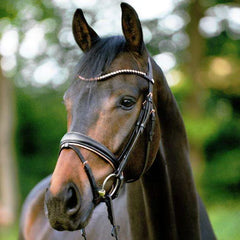 Kavalkade Rose bridle Blk