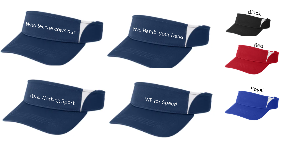 USAWE Working Equitation Sport-Tek Color block Visor