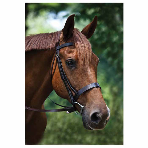 Traditional Hunt Bridle