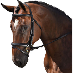 Euro Dressage Bridle