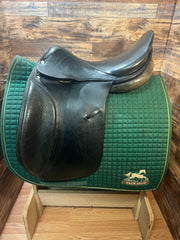 17" Fredy Roosli Dressage